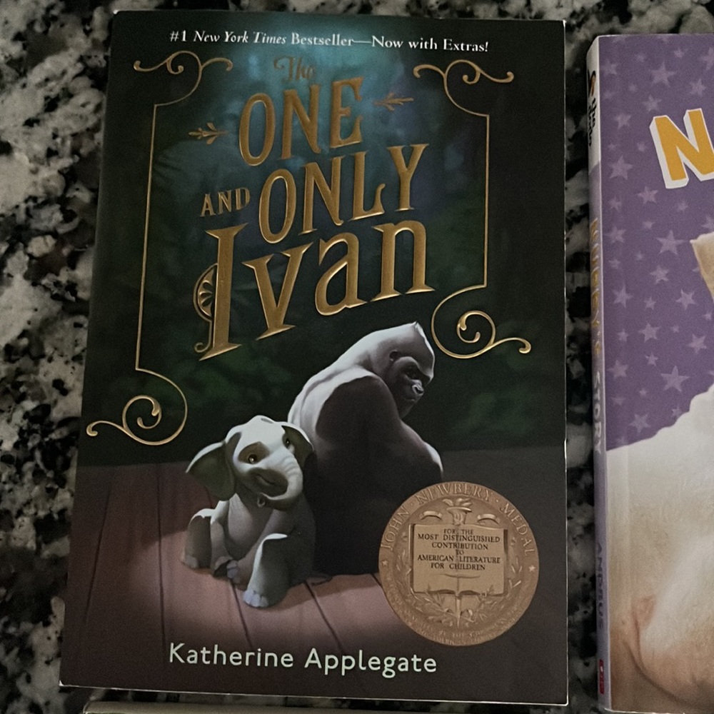 4 chapter books bundle - Picture 5 of 7